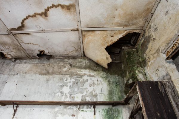 Water Damage Service in Yukon