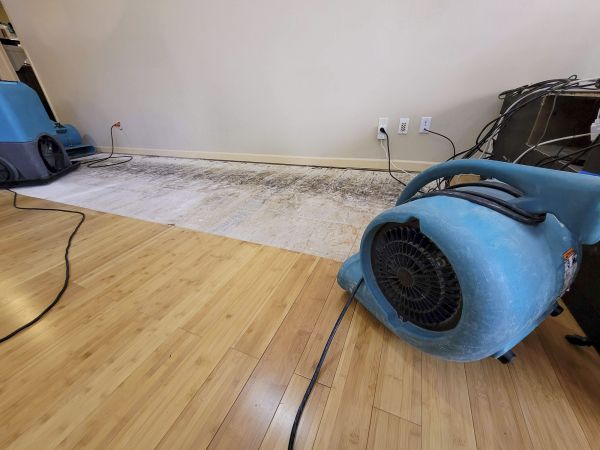 Water Damage Mitigation in Yukon