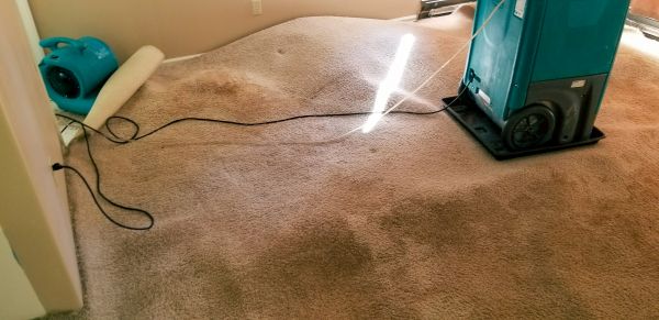 Flood Damage Cleanup in Yukon