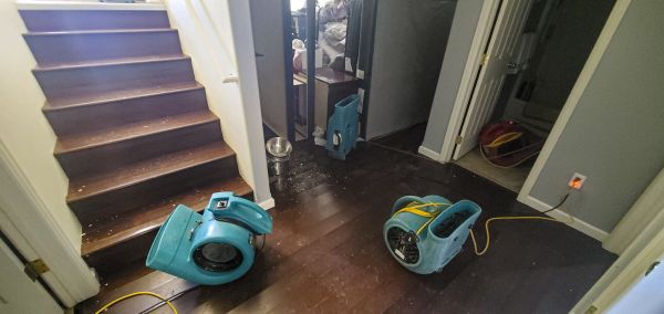 Water Damage Remediation in Yukon