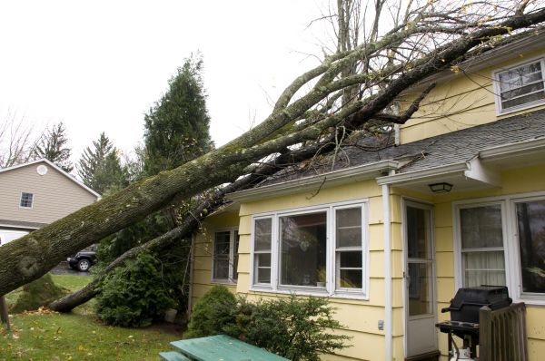 Hurricane Damage Repair in Yukon