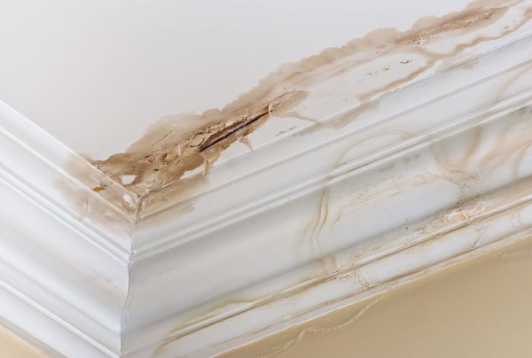 Water Damage Recovery in Yukon